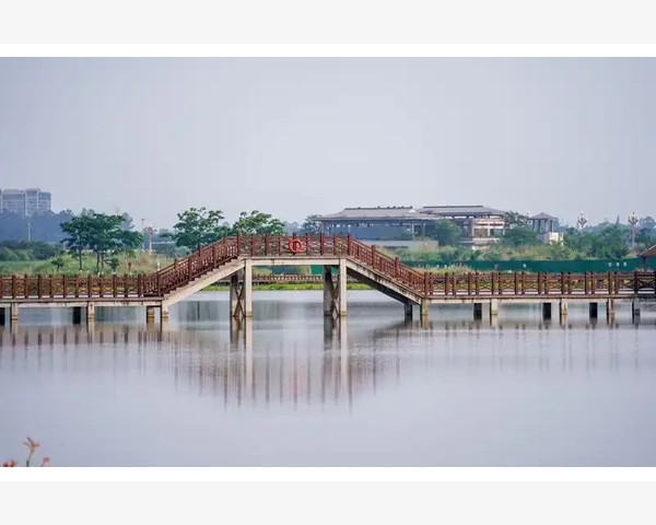 冬天泡什么补气驱寒？中医告诉你最有效的方法